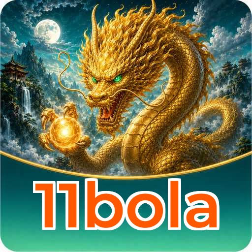 Troubleshooting 11bola